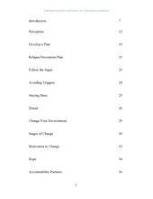 Load image into Gallery viewer, Treatment for Substance Use Disorders-Court Approved Participant Curriculum