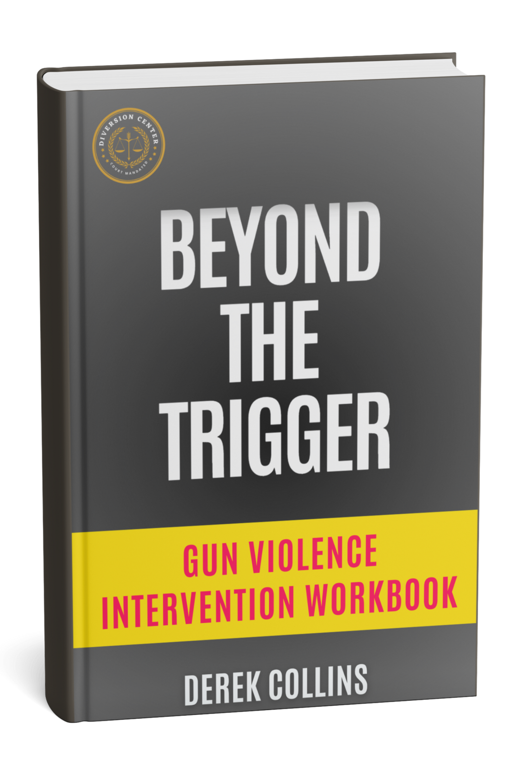 Gun Violence Intervention Curriculum (Pre-order)