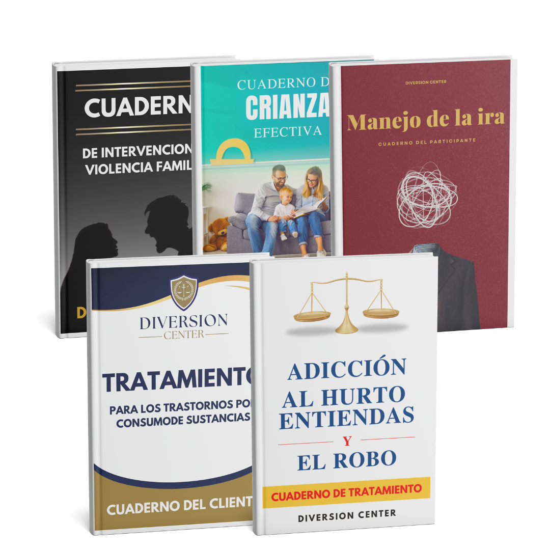 Black Friday SuperBundle - 4 Digital Workbook Downloads [Spanish]